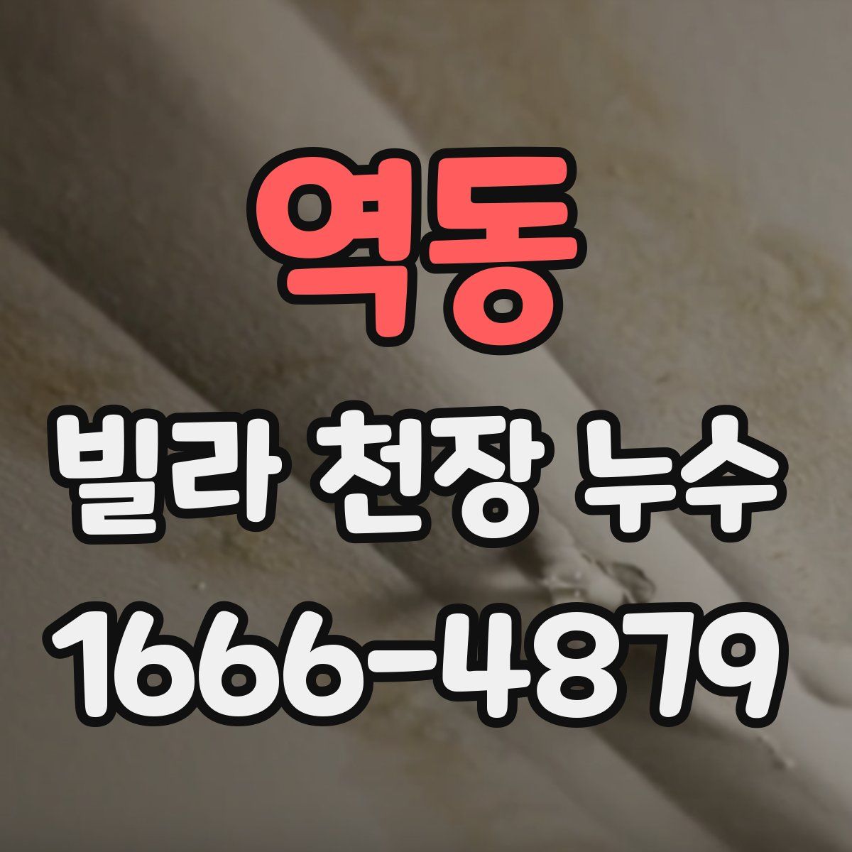 역동 빌라 천장 누수