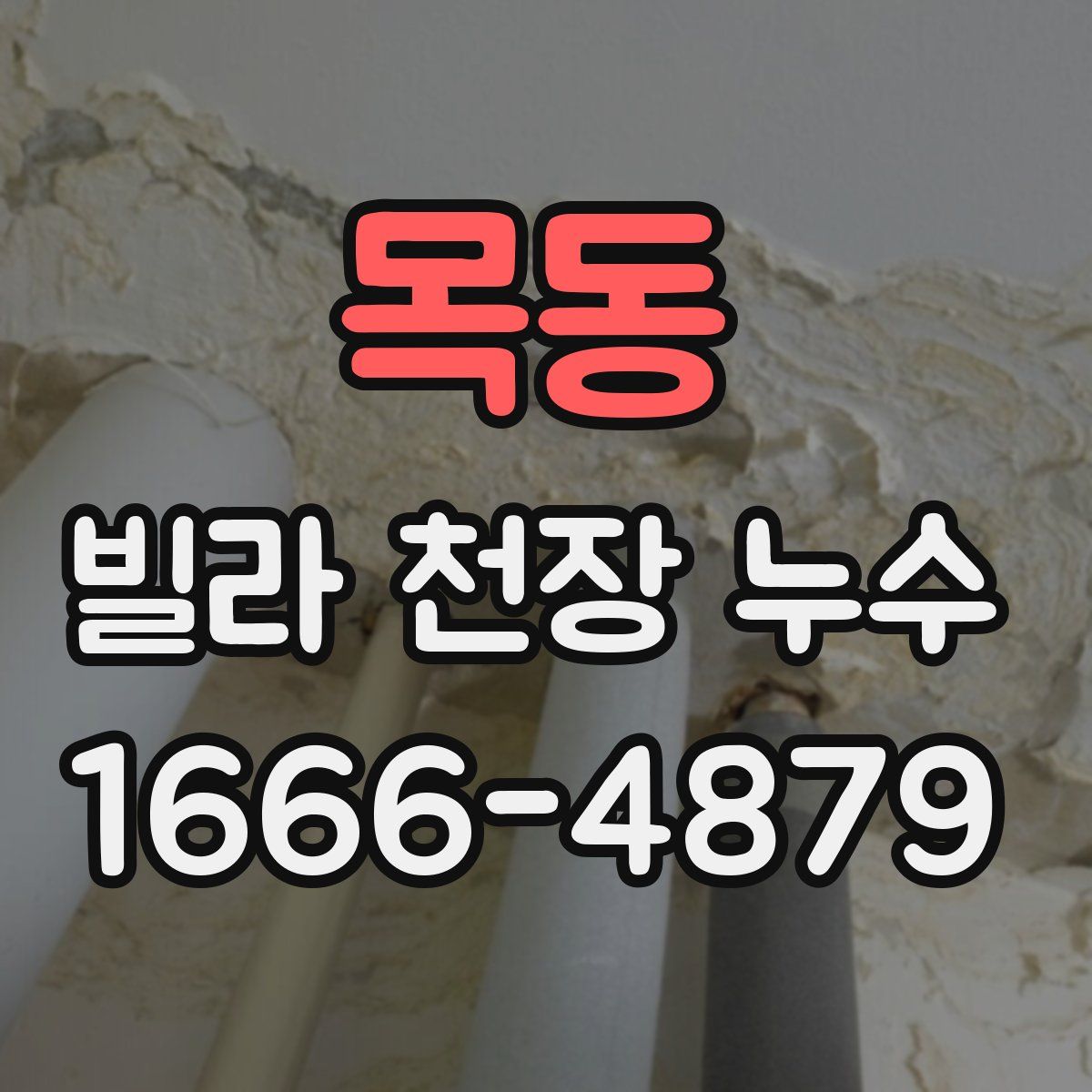 목동 빌라 천장 누수