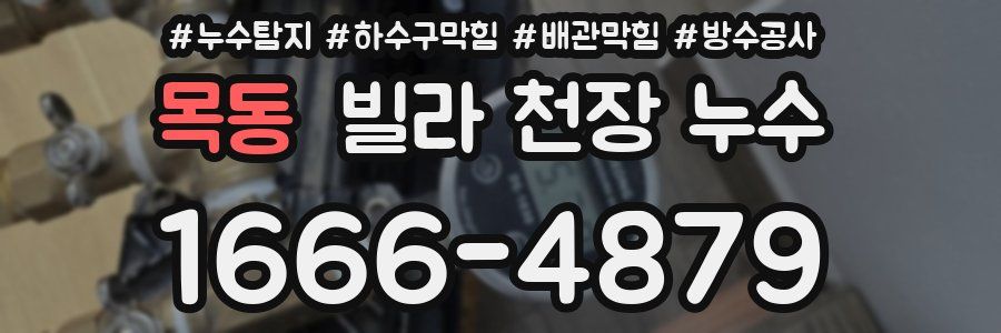 목동 빌라 천장 누수