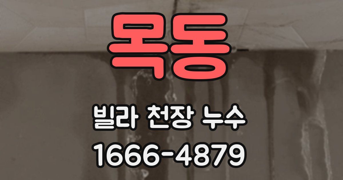 목동 빌라 천장 누수