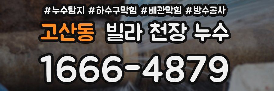 고산동 빌라 천장 누수