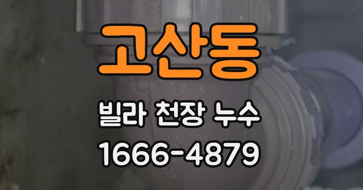 고산동 빌라 천장 누수