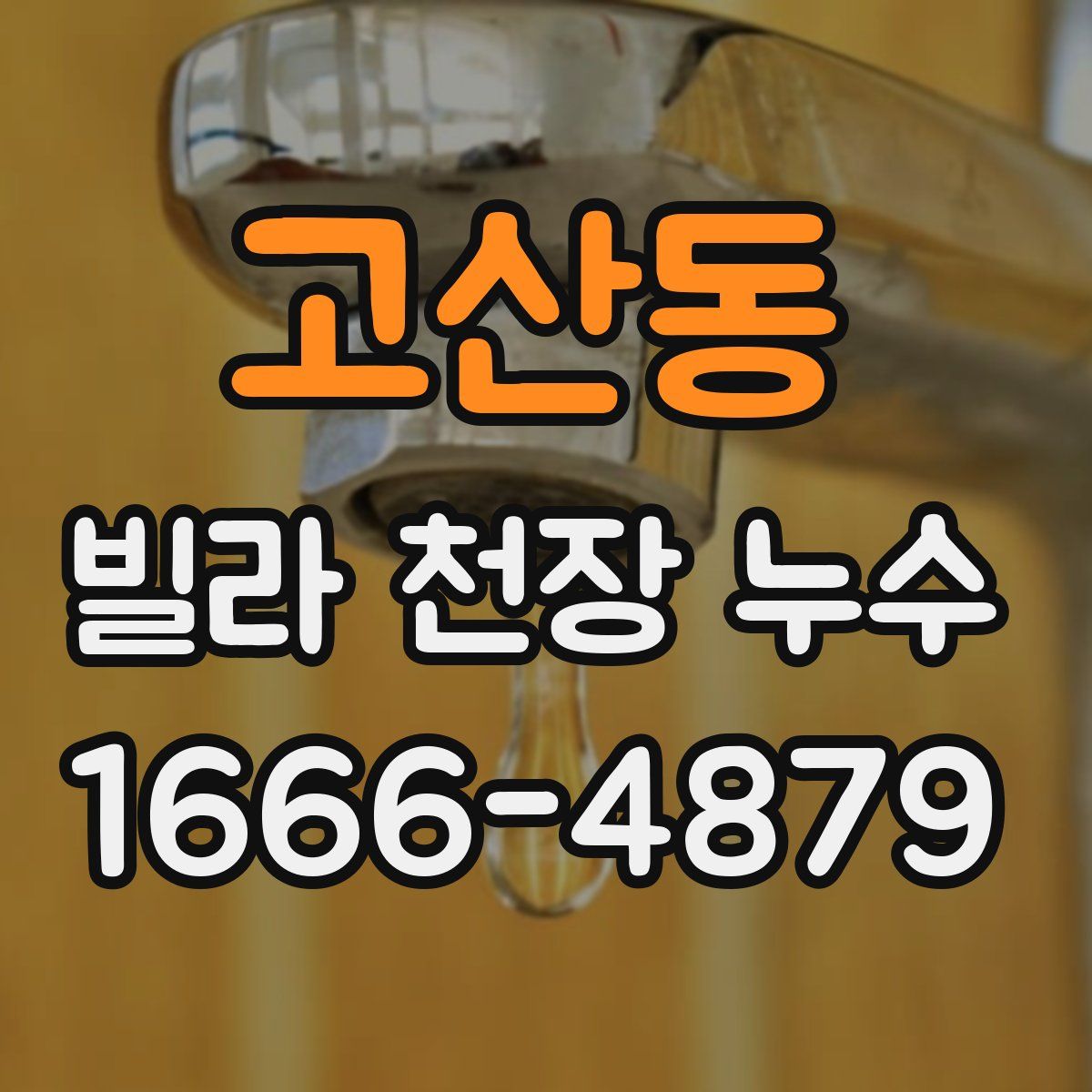 고산동 빌라 천장 누수