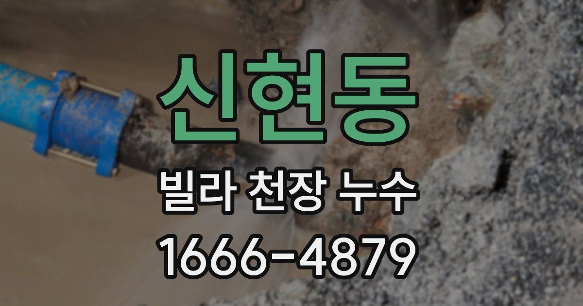 신현동 빌라 천장 누수