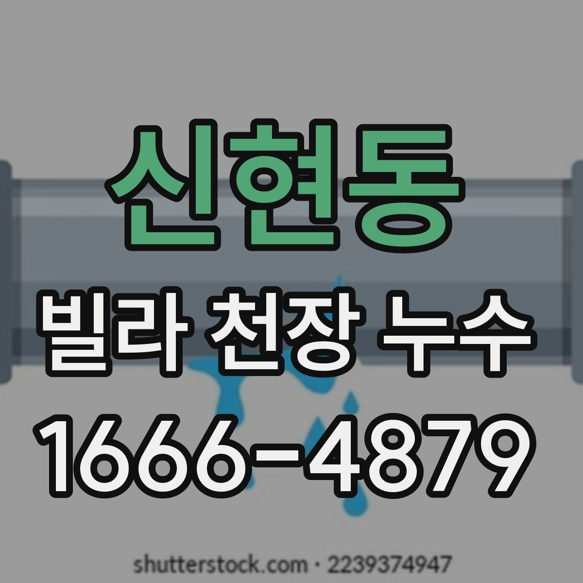 신현동 빌라 천장 누수