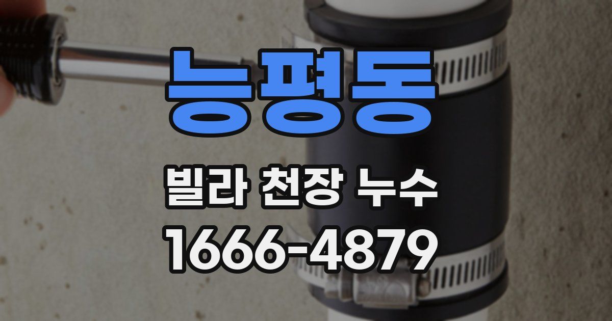 능평동 빌라 천장 누수