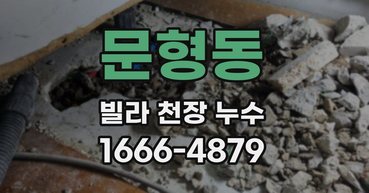 문형동 빌라 천장 누수