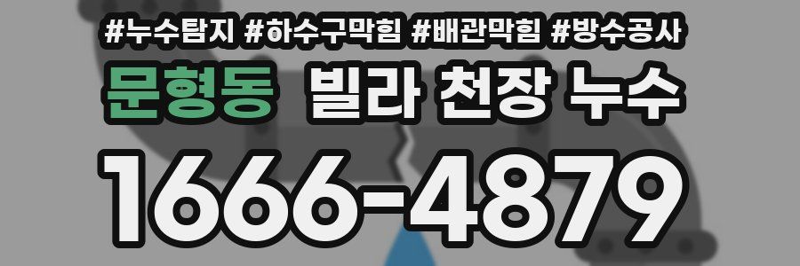 문형동 빌라 천장 누수