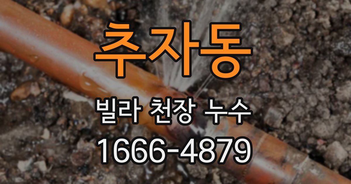 추자동 빌라 천장 누수