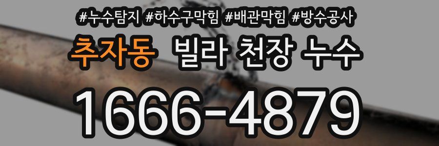 추자동 빌라 천장 누수
