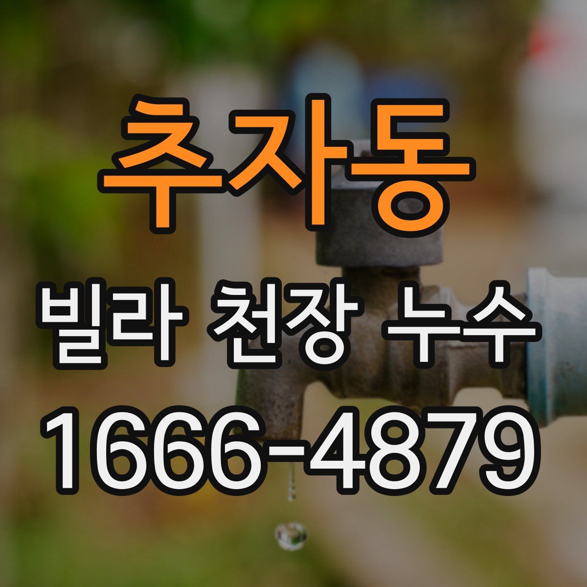 추자동 빌라 천장 누수
