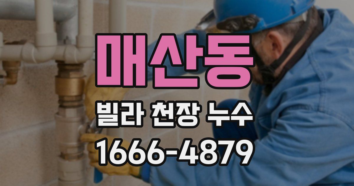 매산동 빌라 천장 누수