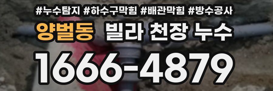 양벌동 빌라 천장 누수