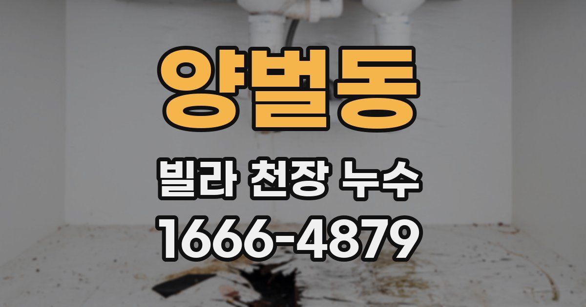 양벌동 빌라 천장 누수