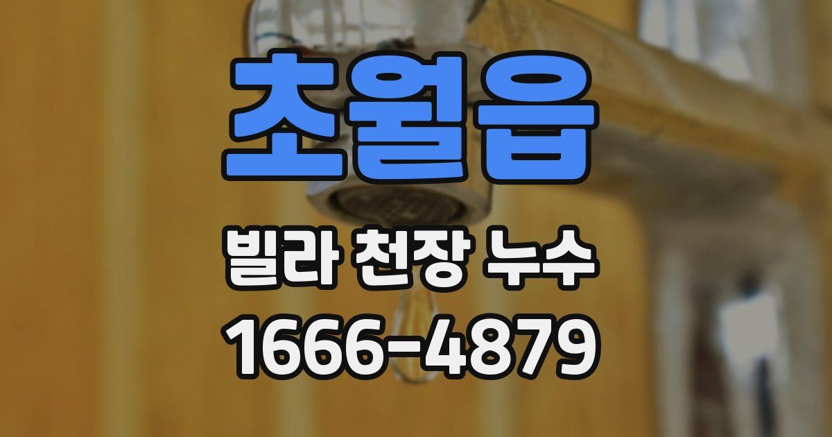 초월읍 빌라 천장 누수