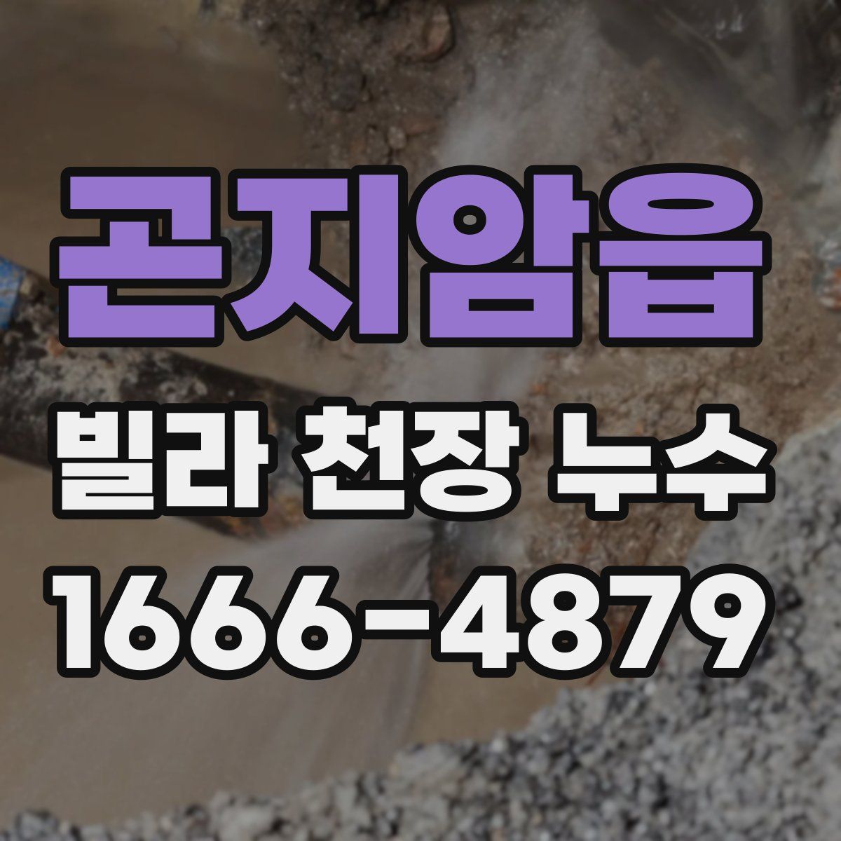 곤지암읍 빌라 천장 누수