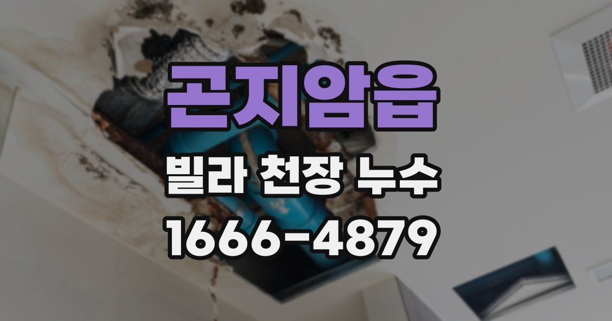 곤지암읍 빌라 천장 누수