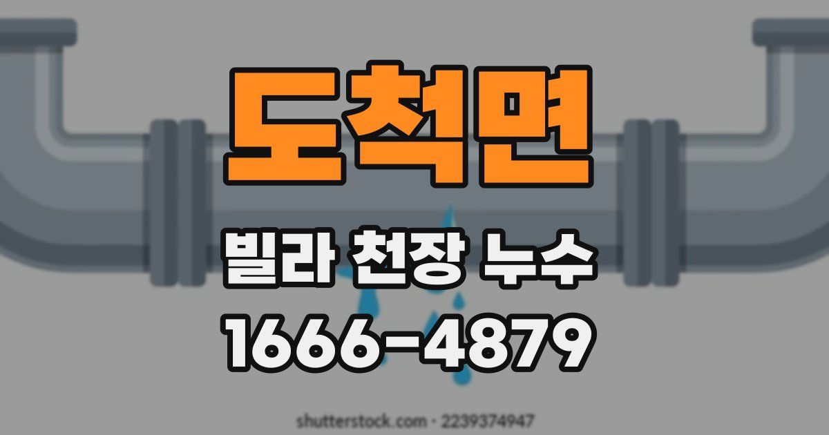 도척면 빌라 천장 누수