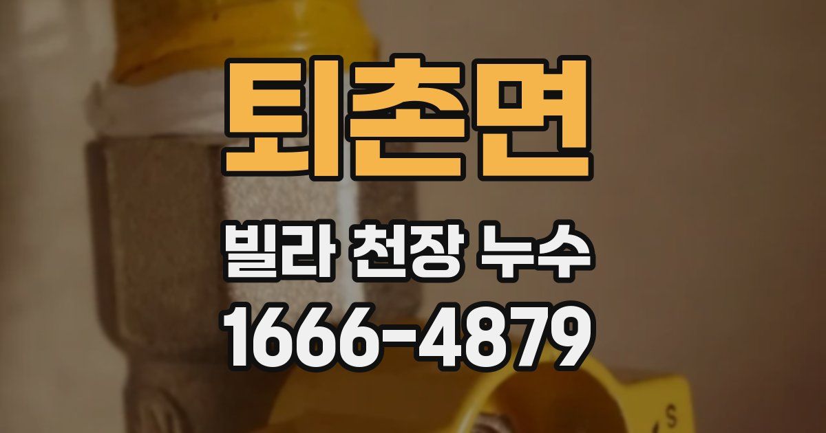 퇴촌면 빌라 천장 누수