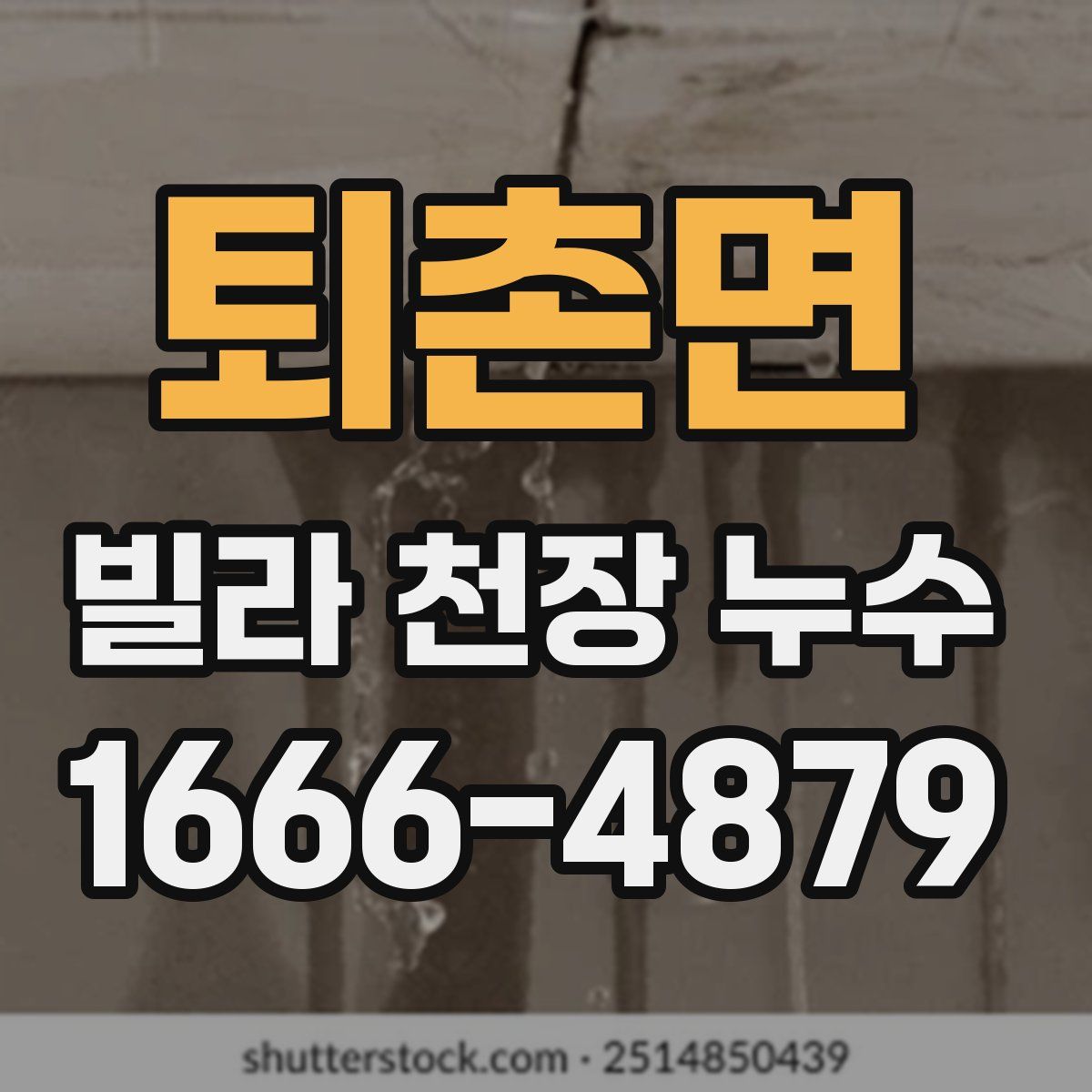 퇴촌면 빌라 천장 누수