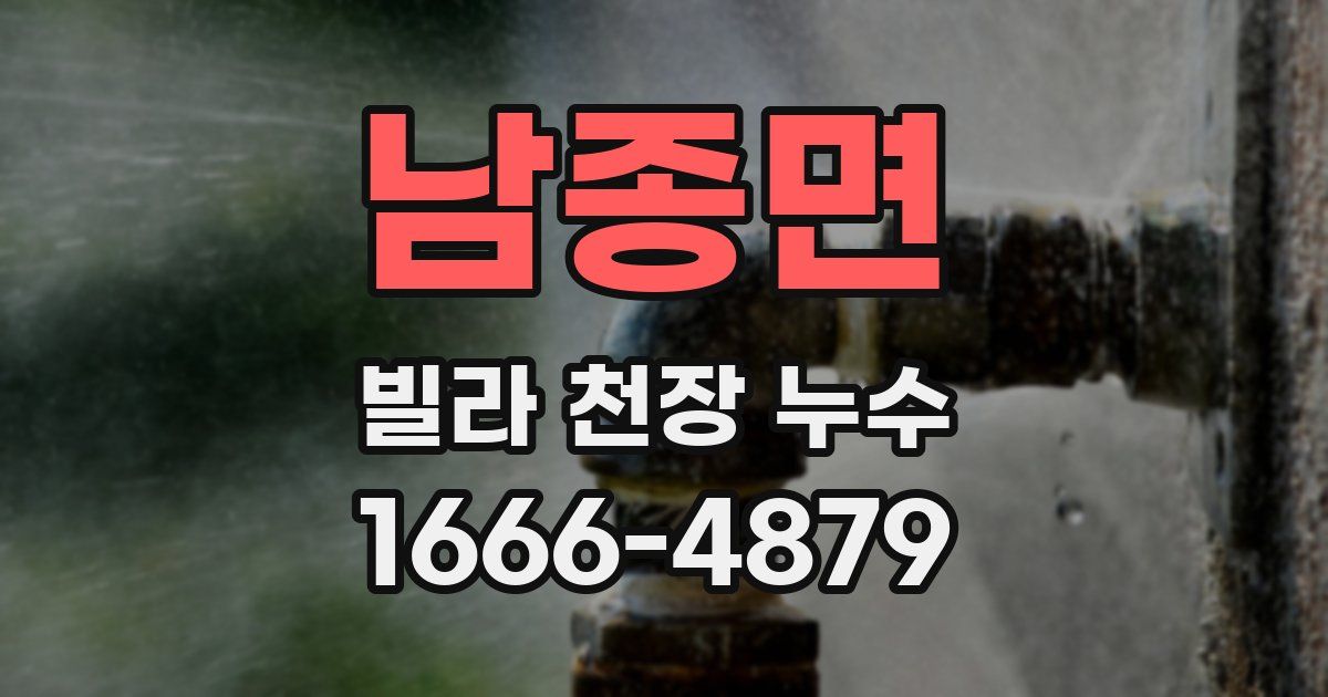 남종면 빌라 천장 누수