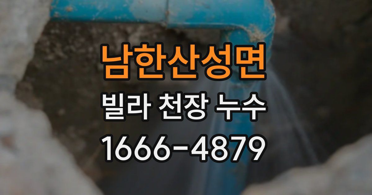 남한산성면 빌라 천장 누수