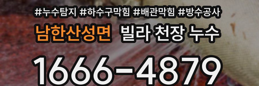 남한산성면 빌라 천장 누수