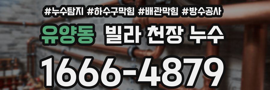 유양동 빌라 천장 누수