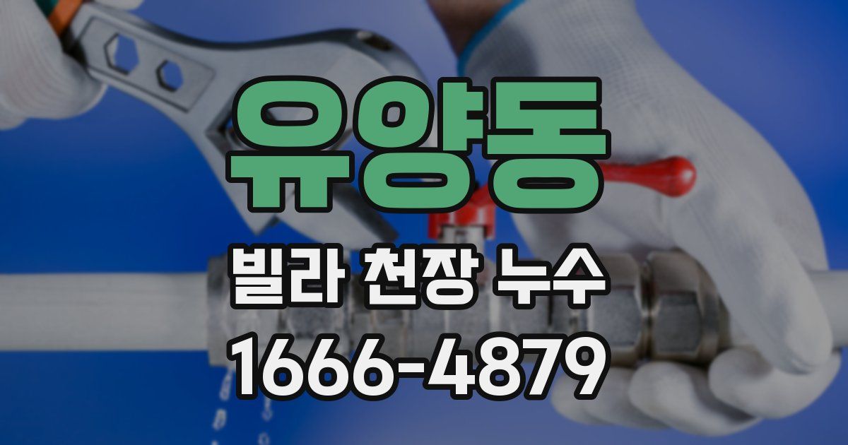 유양동 빌라 천장 누수