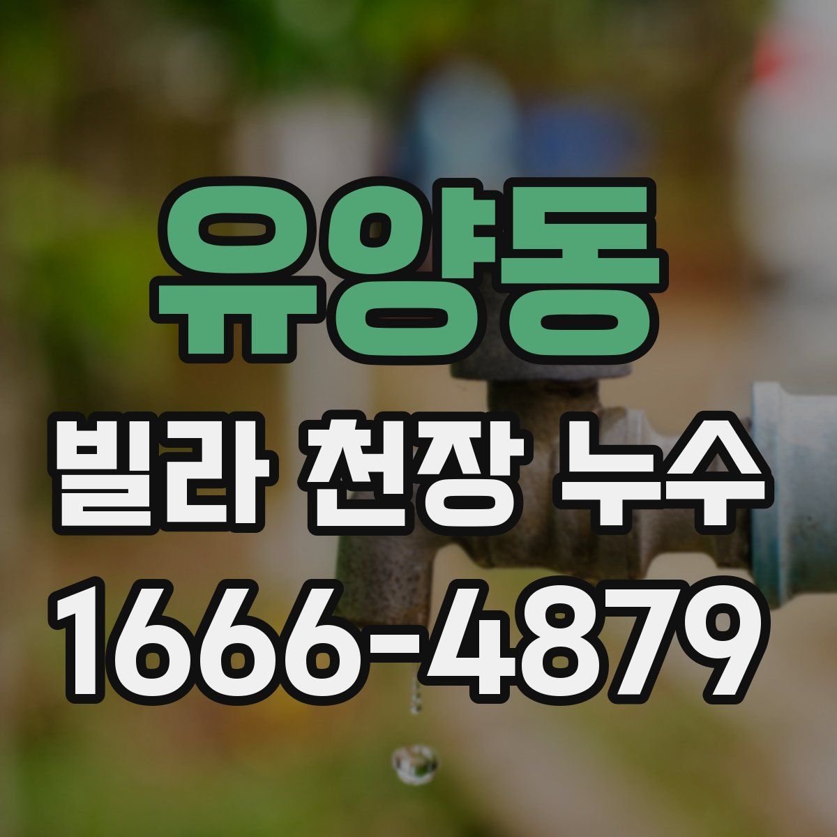 유양동 빌라 천장 누수
