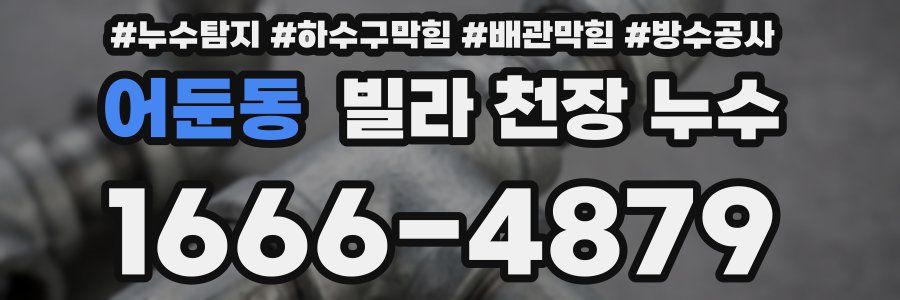어둔동 빌라 천장 누수