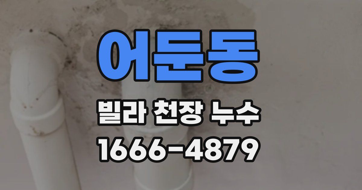 어둔동 빌라 천장 누수