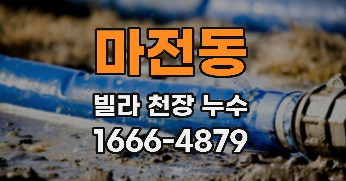 마전동 빌라 천장 누수