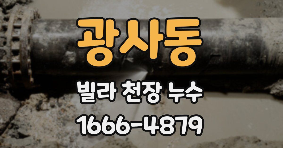 광사동 빌라 천장 누수