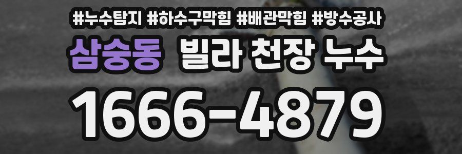 삼숭동 빌라 천장 누수