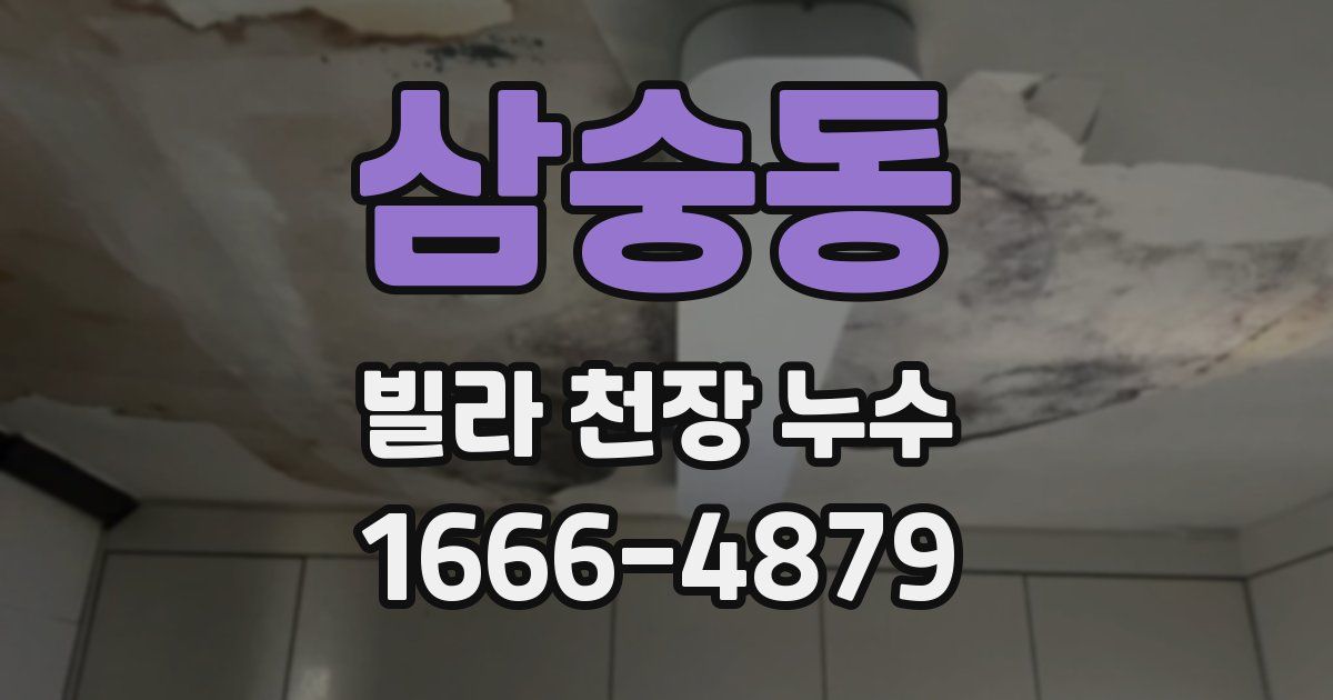 삼숭동 빌라 천장 누수