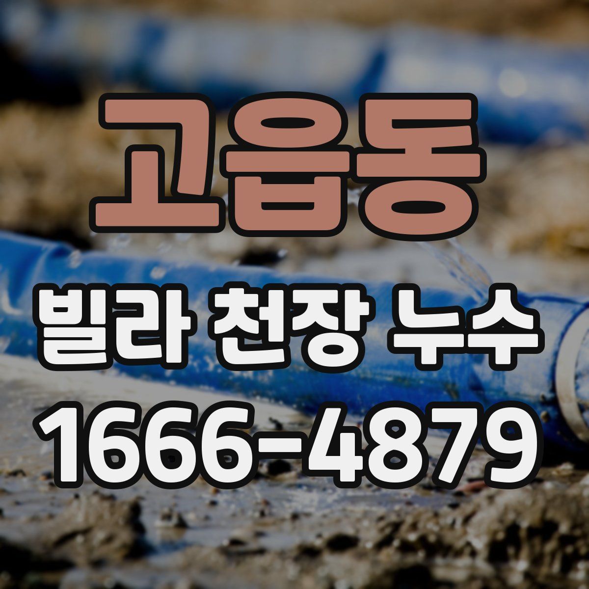 고읍동 빌라 천장 누수