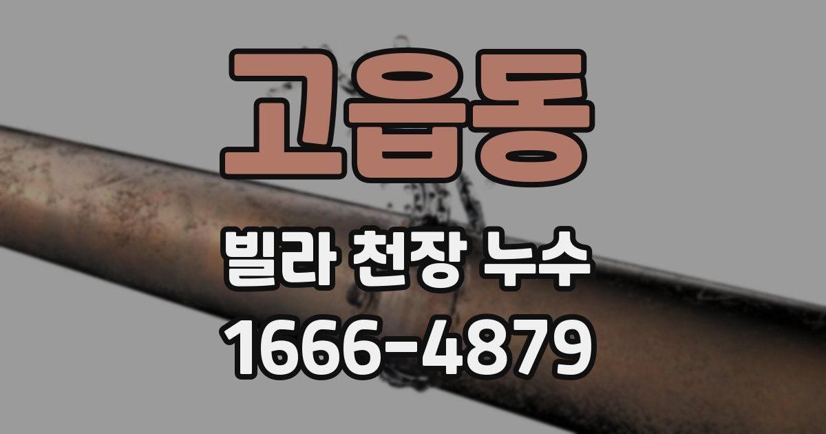 고읍동 빌라 천장 누수
