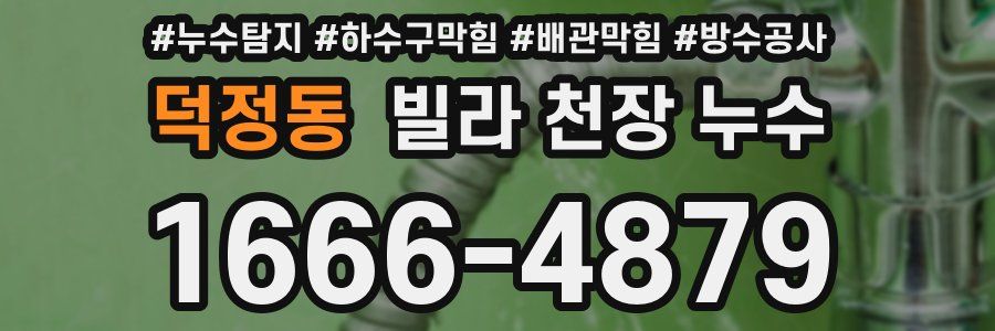 덕정동 빌라 천장 누수