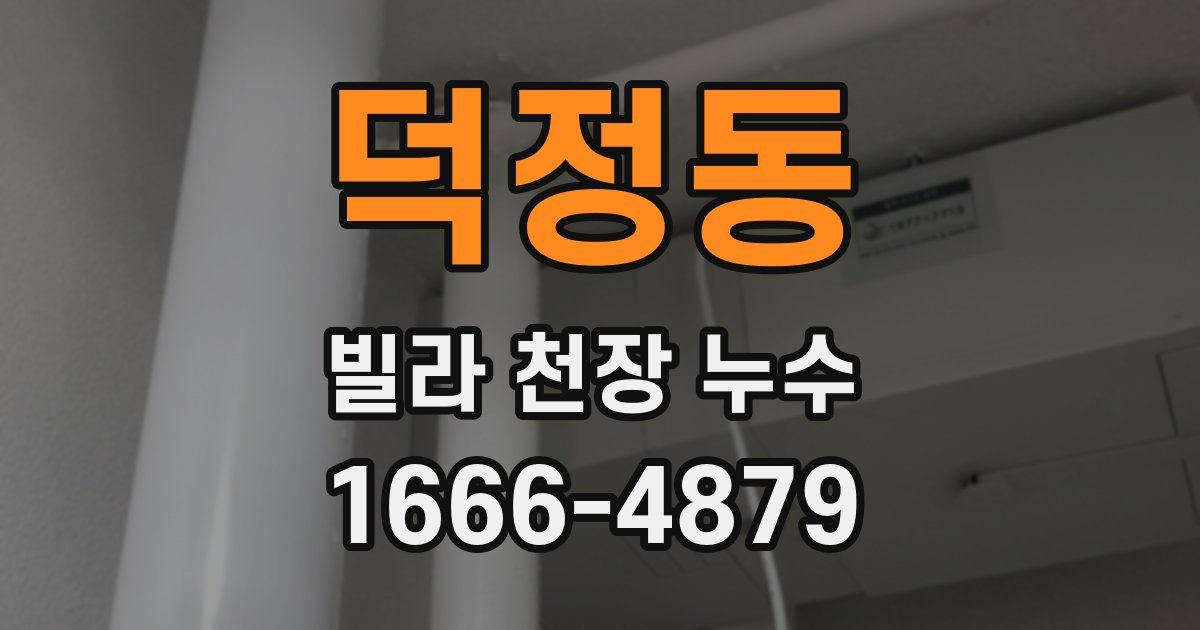덕정동 빌라 천장 누수