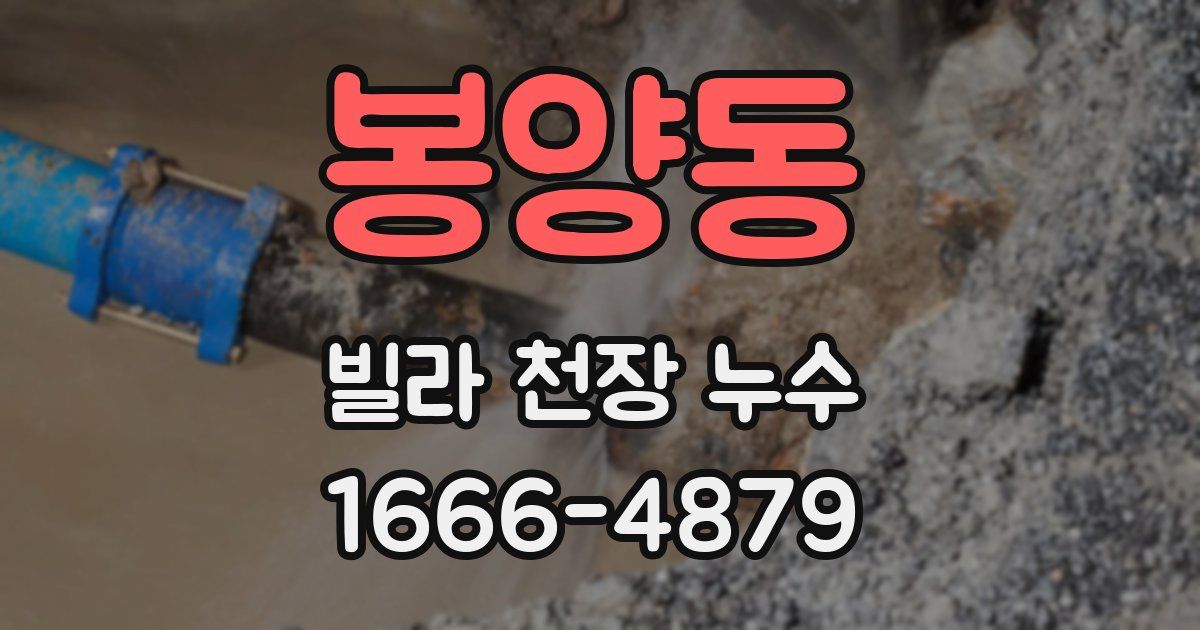 봉양동 빌라 천장 누수
