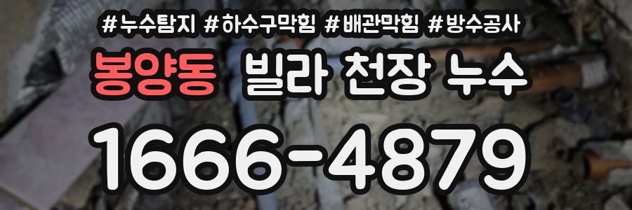 봉양동 빌라 천장 누수