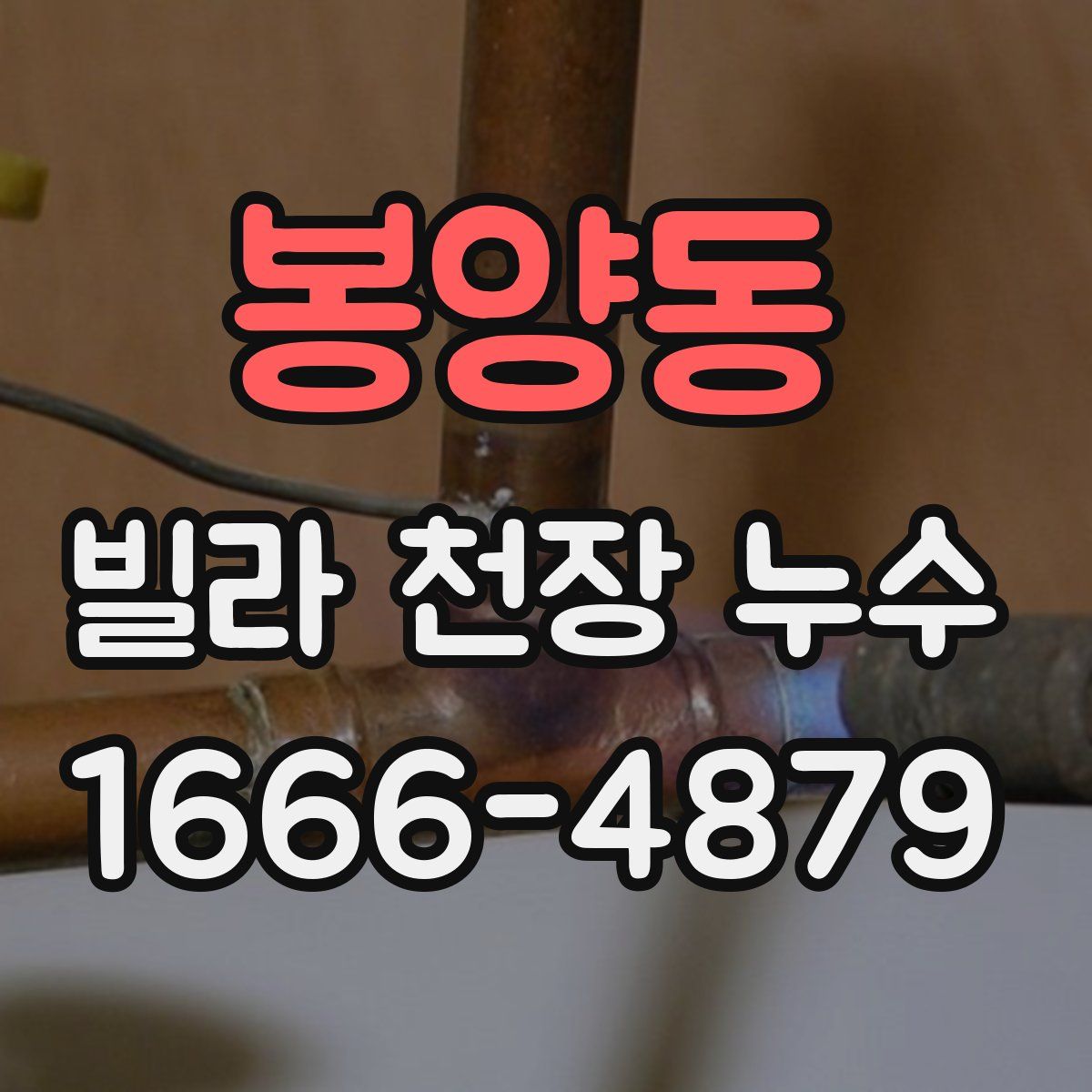 봉양동 빌라 천장 누수
