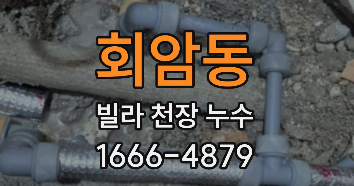 회암동 빌라 천장 누수