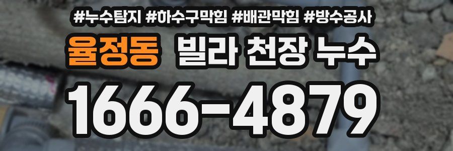 율정동 빌라 천장 누수