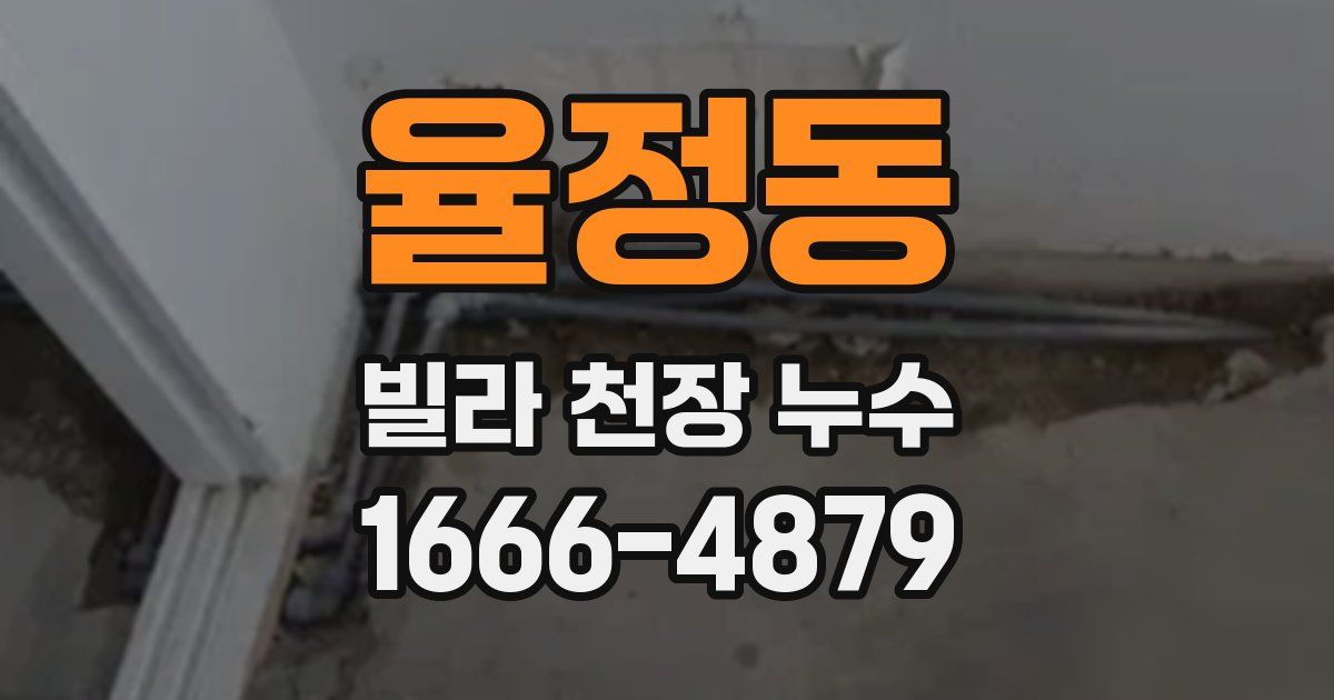 율정동 빌라 천장 누수