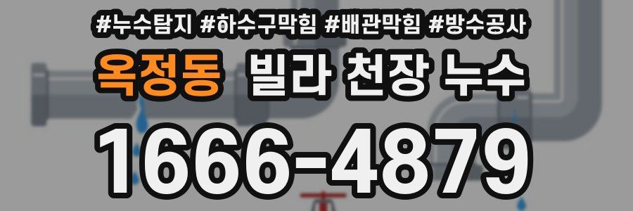 옥정동 빌라 천장 누수