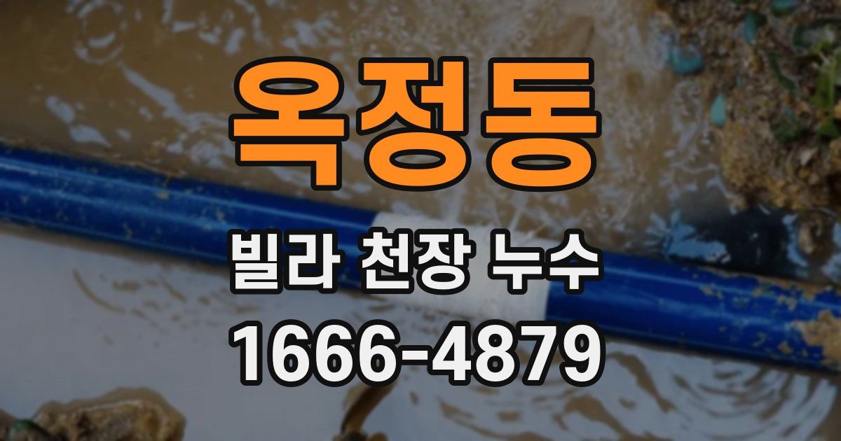 옥정동 빌라 천장 누수