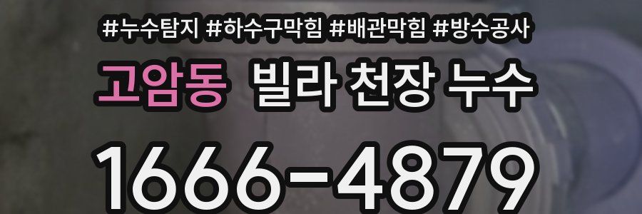 고암동 빌라 천장 누수