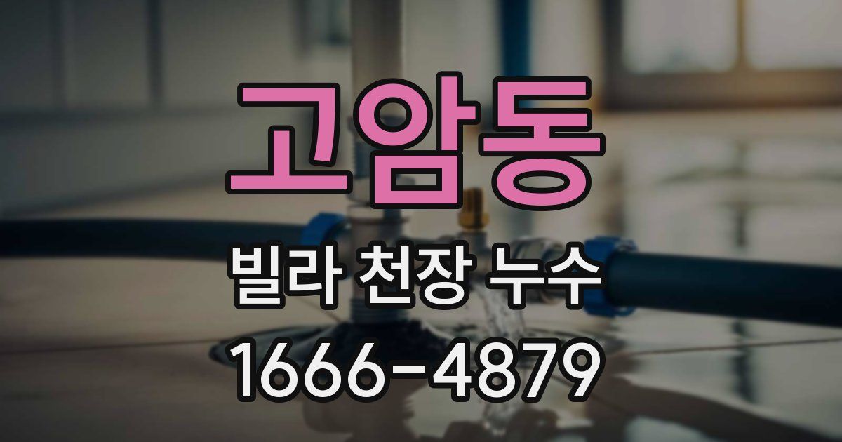 고암동 빌라 천장 누수